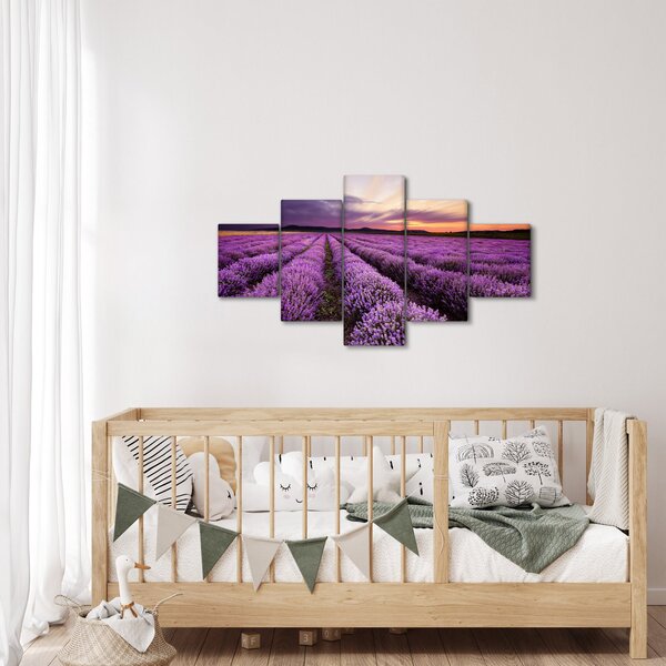 Obraz - Levandulové pole při západu slunce (125x70 cm)