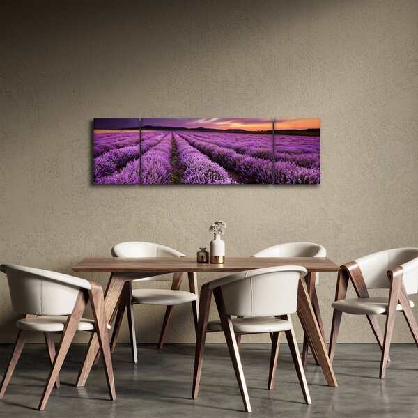 Obraz - Levandulové pole při západu slunce (170x50 cm)