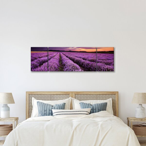 Obraz - Levandulové pole při západu slunce (170x50 cm)