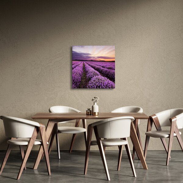 Obraz - Levandulové pole při západu slunce (30x30 cm)