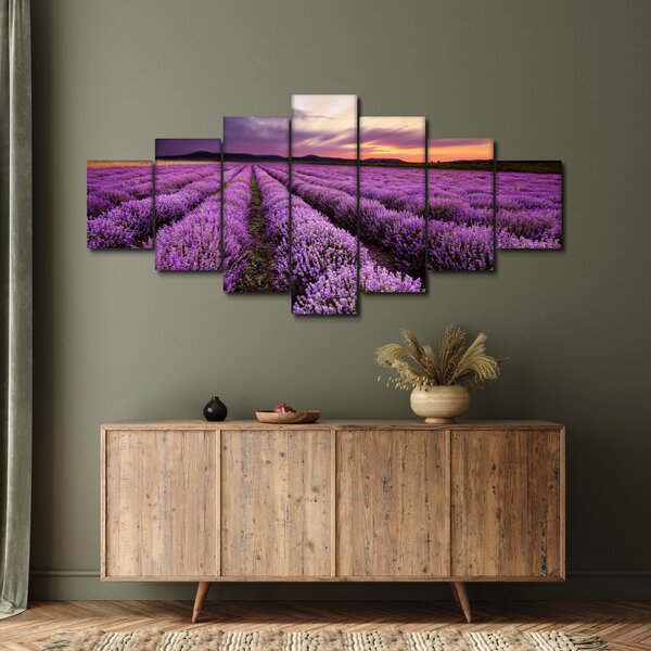 Obraz - Levandulové pole při západu slunce (210x100 cm)