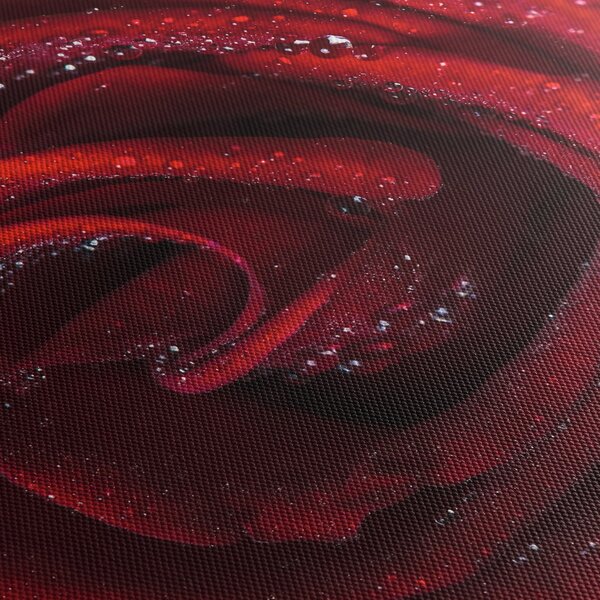 Obraz - Červená růže s kapkami rosy (170x50 cm)