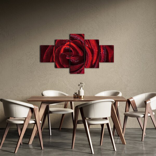 Obraz - Červená růže s kapkami rosy (125x70 cm)