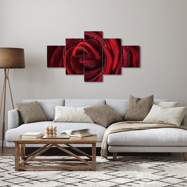 Obraz - Červená růže s kapkami rosy (125x70 cm)