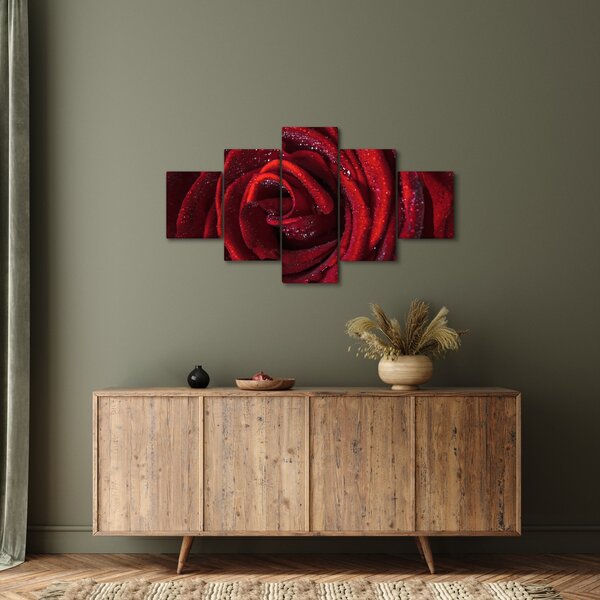 Obraz - Červená růže s kapkami rosy (125x70 cm)