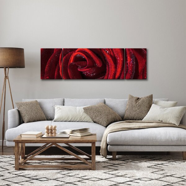 Obraz - Červená růže s kapkami rosy (170x50 cm)
