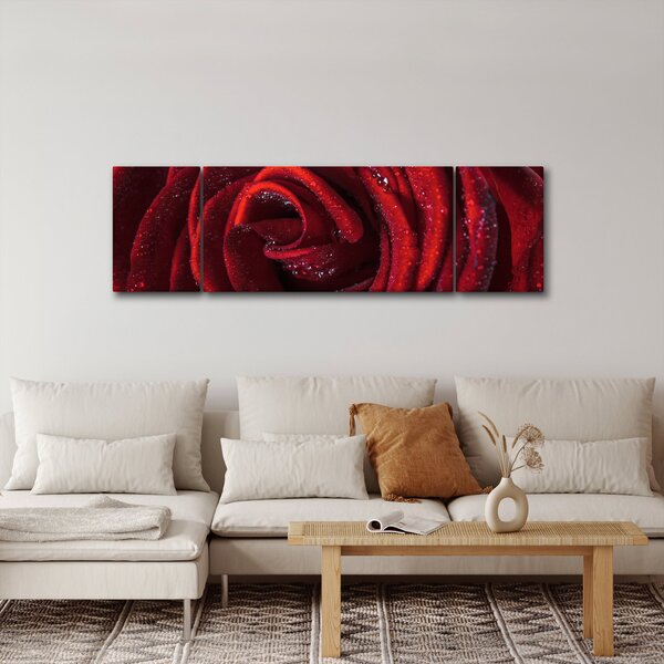Obraz - Červená růže s kapkami rosy (170x50 cm)