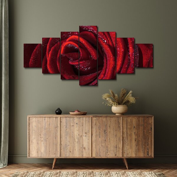 Obraz - Červená růže s kapkami rosy (210x100 cm)