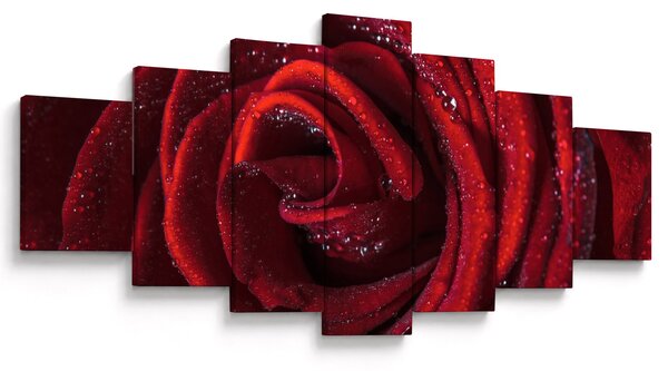 Obraz - Červená růže s kapkami rosy (210x100 cm)