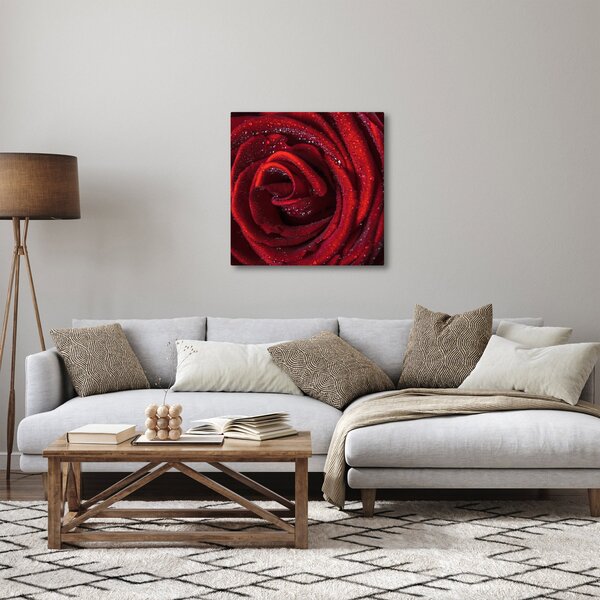 Obraz - Červená růže s kapkami rosy (30x30 cm)