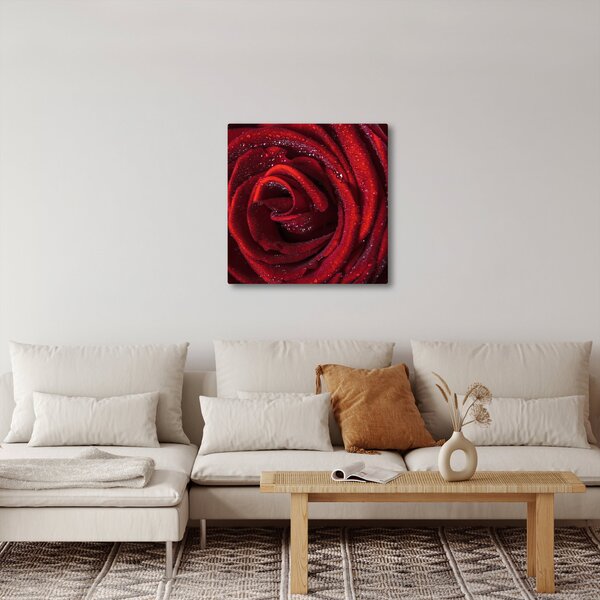 Obraz - Červená růže s kapkami rosy (30x30 cm)