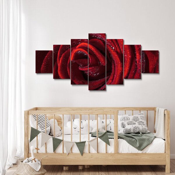 Obraz - Červená růže s kapkami rosy (210x100 cm)