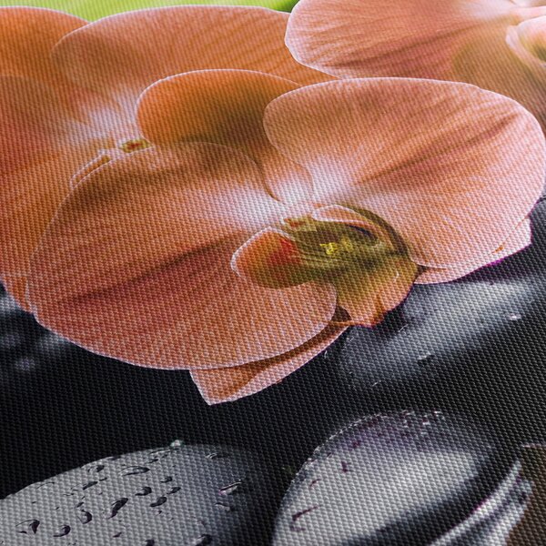 Obraz - Oranžová orchidej s palmovými listy (125x70 cm)