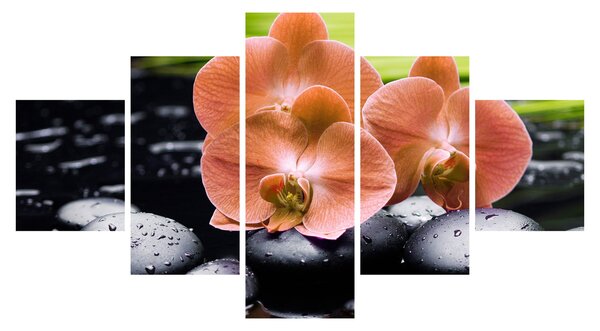 Obraz - Oranžová orchidej s palmovými listy (125x70 cm)