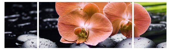 Obraz - Oranžová orchidej s palmovými listy (170x50 cm)