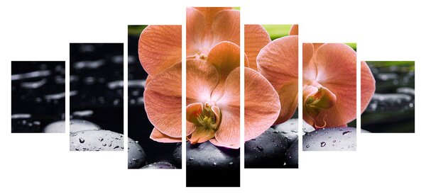 Obraz - Oranžová orchidej s palmovými listy (210x100 cm)