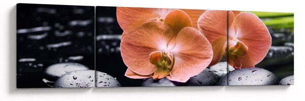 Obraz - Oranžová orchidej s palmovými listy (170x50 cm)
