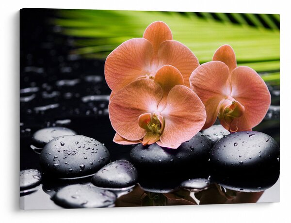 Obraz - Oranžová orchidej s palmovými listy (70x50 cm)
