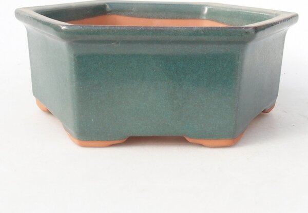 E-bonsai Miska 17 x 15 x 6 cm barva zelená