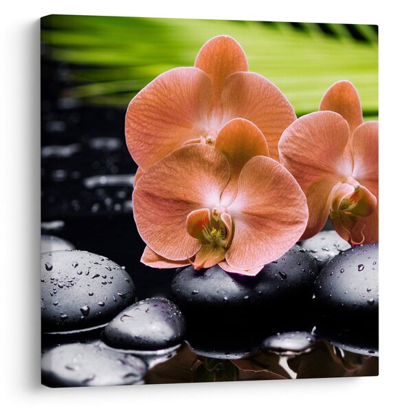 Obraz - Oranžová orchidej s palmovými listy (30x30 cm)