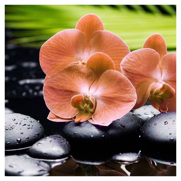 Obraz - Oranžová orchidej s palmovými listy (30x30 cm)