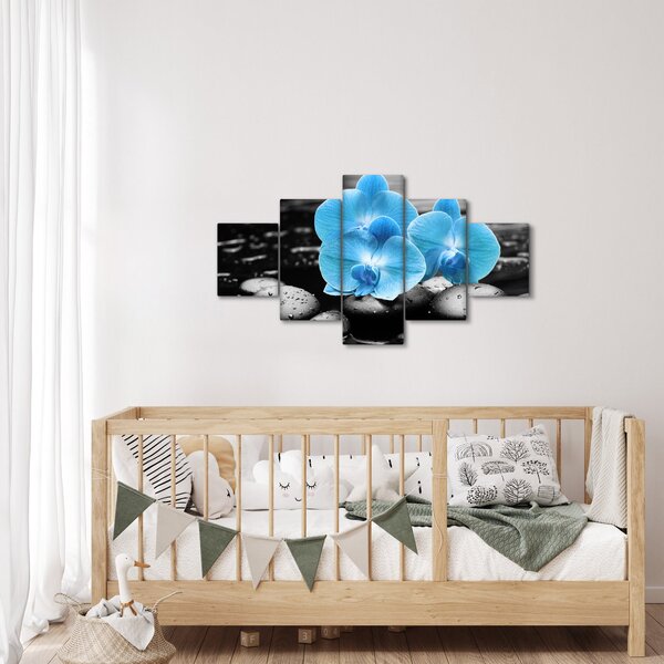 Obraz - Modrá orchidej (125x70 cm)
