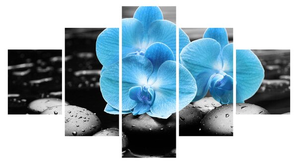 Obraz - Modrá orchidej (125x70 cm)