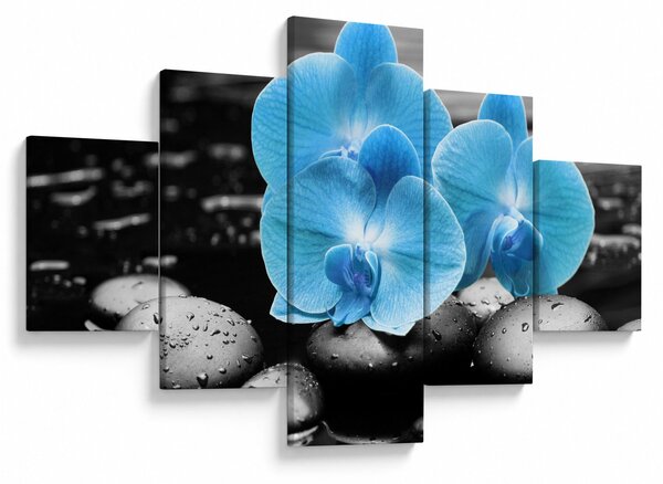Obraz - Modrá orchidej (125x70 cm)
