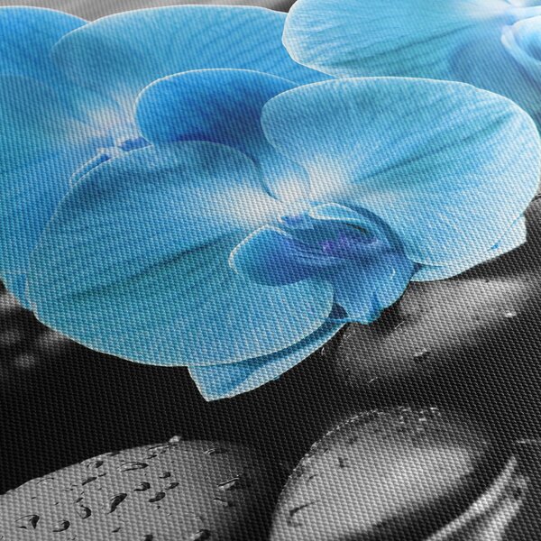 Obraz - Modrá orchidej (125x70 cm)