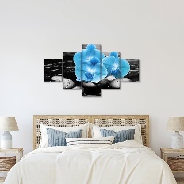 Obraz - Modrá orchidej (125x70 cm)