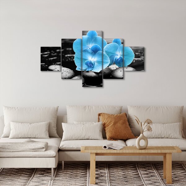Obraz - Modrá orchidej (125x70 cm)
