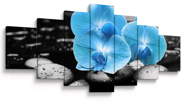 Obraz - Modrá orchidej (210x100 cm)