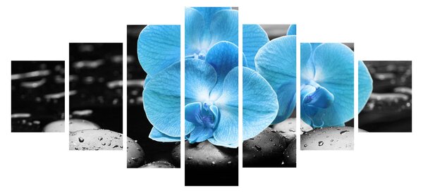 Obraz - Modrá orchidej (210x100 cm)