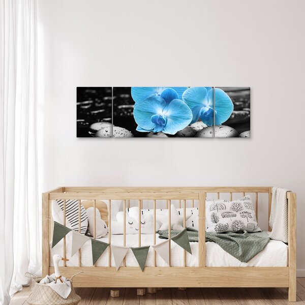 Obraz - Modrá orchidej (170x50 cm)