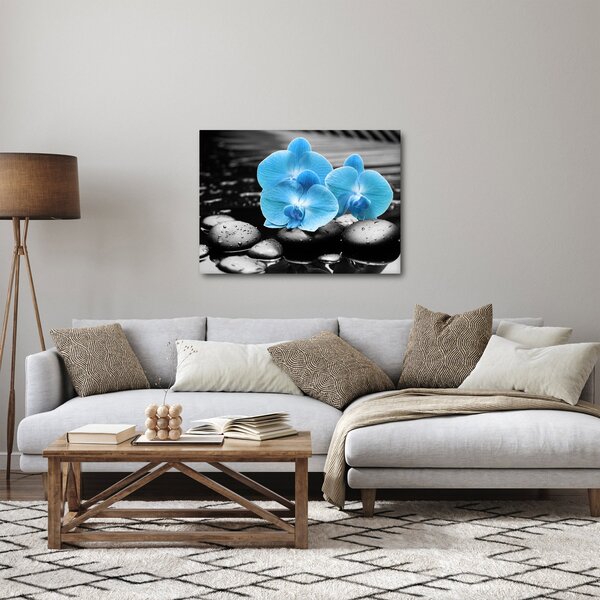 Obraz - Modrá orchidej (70x50 cm)