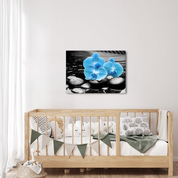 Obraz - Modrá orchidej (70x50 cm)