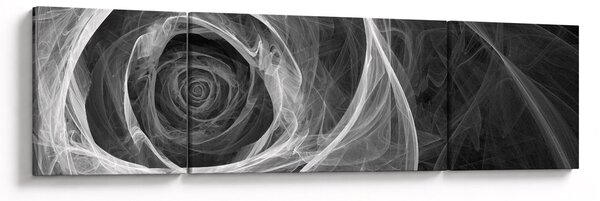 Obraz - Abstraktní růže černobílá (170x50 cm)