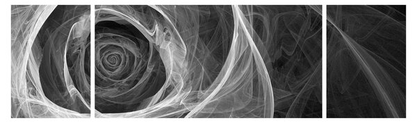 Obraz - Abstraktní růže černobílá (170x50 cm)