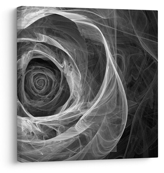 Obraz - Abstraktní růže černobílá (30x30 cm)