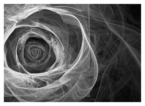 Obraz - Abstraktní růže černobílá (70x50 cm)