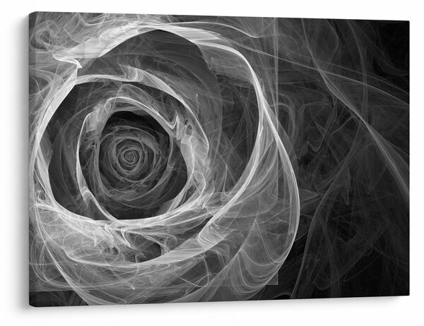 Obraz - Abstraktní růže černobílá (70x50 cm)