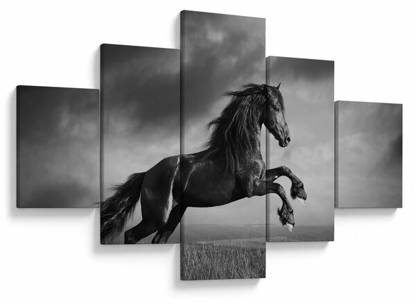 Obraz - Kůň černobílý (125x70 cm)