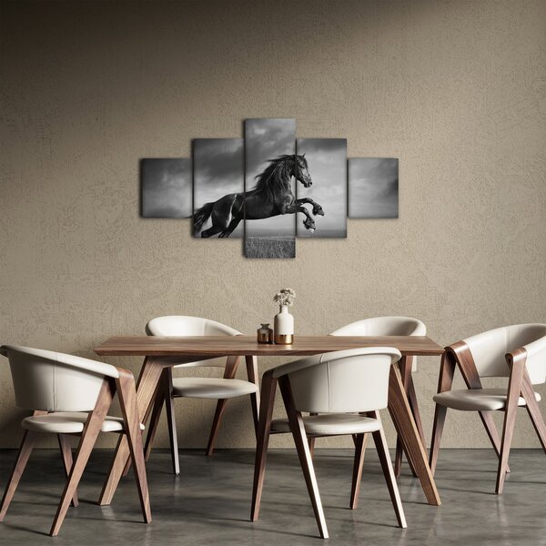 Obraz - Kůň černobílý (125x70 cm)