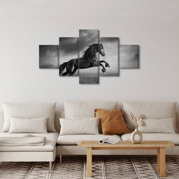 Obraz - Kůň černobílý (125x70 cm)