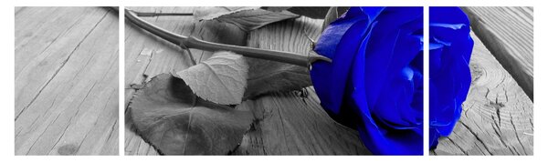 Obraz - Modrá růže (170x50 cm)