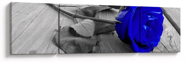Obraz - Modrá růže (170x50 cm)