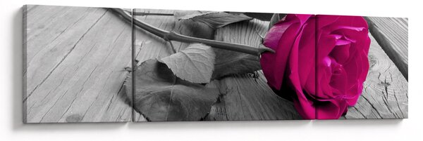 Obraz - Růžová růže (170x50 cm)