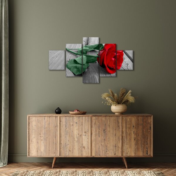 Obraz - Červená růže se zeleným stonkem (125x70 cm)