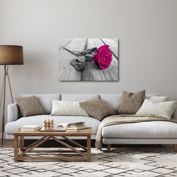 Obraz - Růžová růže (70x50 cm)