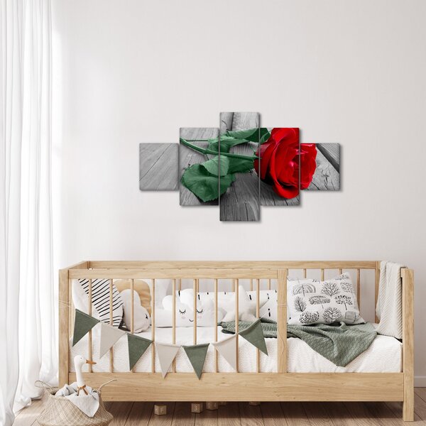Obraz - Červená růže se zeleným stonkem (125x70 cm)